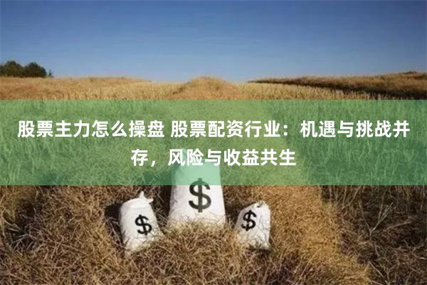 股票主力怎么操盘 股票配资行业：机遇与挑战并存，风险与收益共生