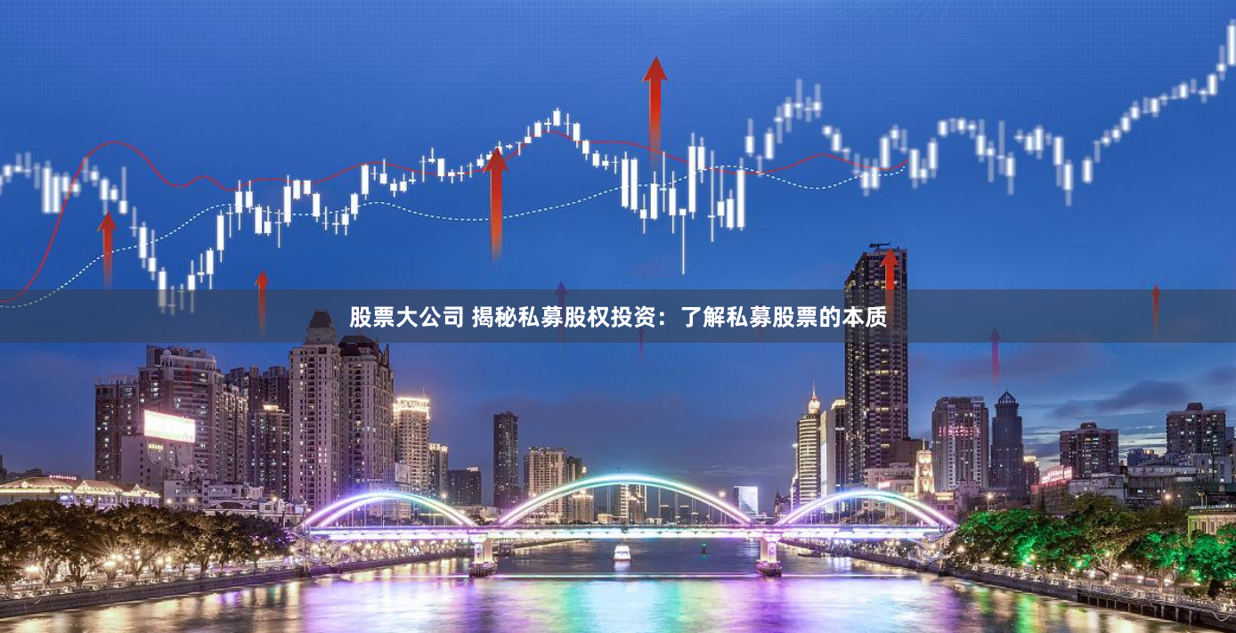 股票大公司 揭秘私募股权投资：了解私募股票的本质