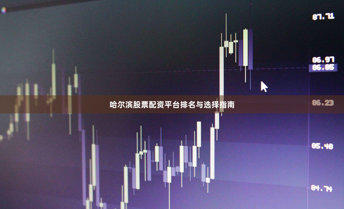 哈尔滨股票配资平台排名与选择指南